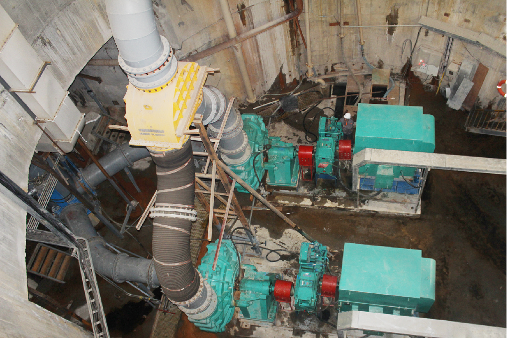 ��8-long8(����)Ψһ�ٷ���վ