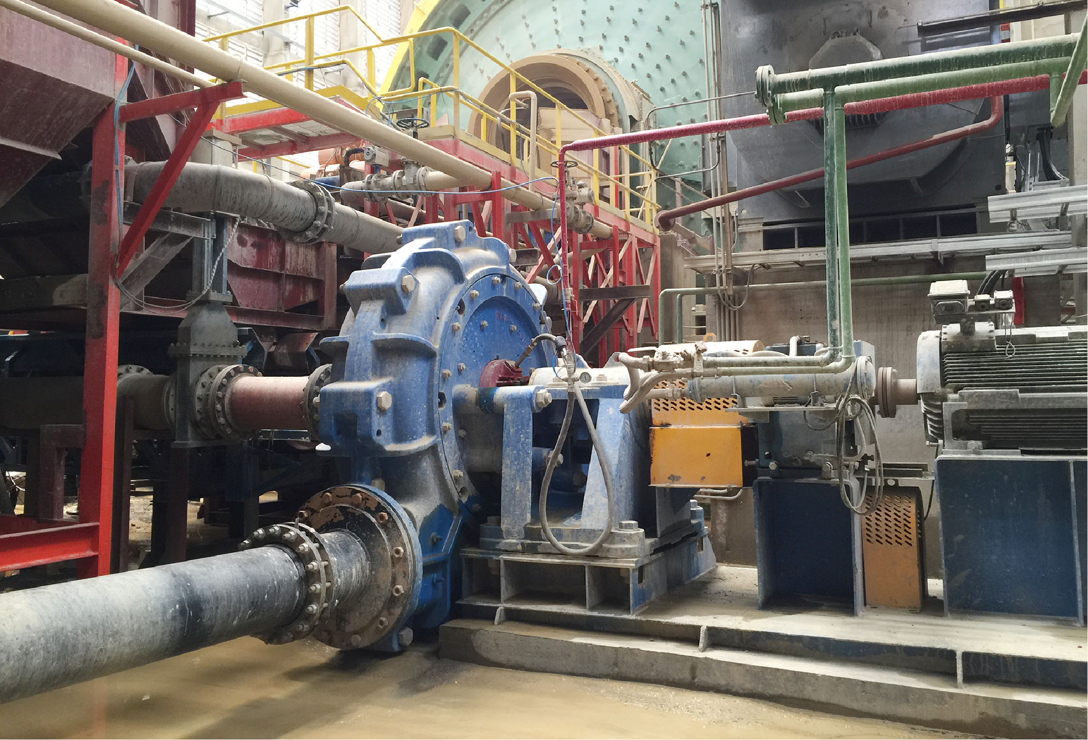 ��8-long8(����)Ψһ�ٷ���վ