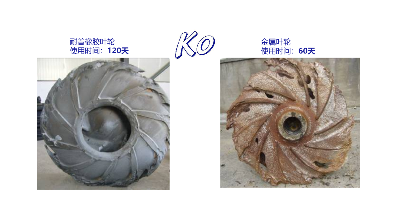 ��8-long8(����)Ψһ�ٷ���վ