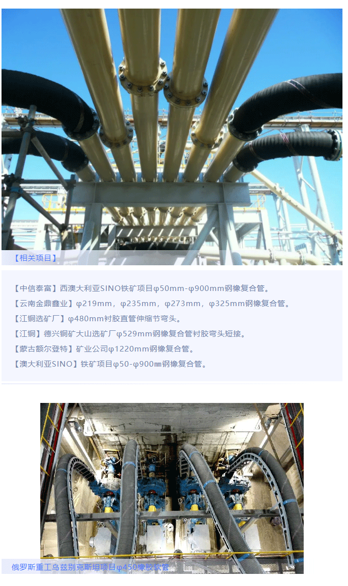 ��8-long8(����)Ψһ�ٷ���վ