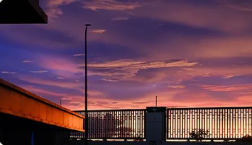 ��8-long8(����)Ψһ�ٷ���վ