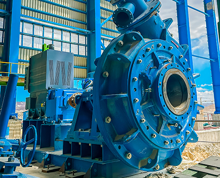 龙8-long8(国际)唯一官方网站